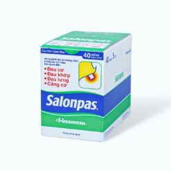 Salonpas dán (Hộp to/5h nhỏ*4gói*10miếng) (K/300)