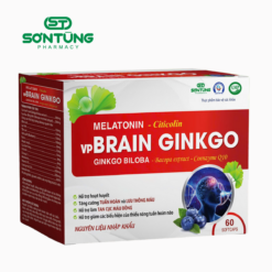 VPBRAIN GINKGO H/60v