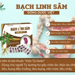 Bạch linh sâm (H/3*10v) Đông dược Việt