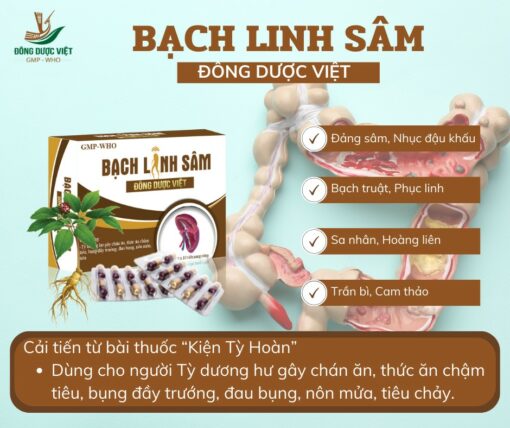 Bạch linh sâm (H/3*10v) Đông dược Việt