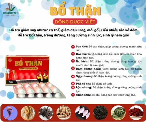 Bổ thận Nang (H/3*10v) Đông dược việt TPCN