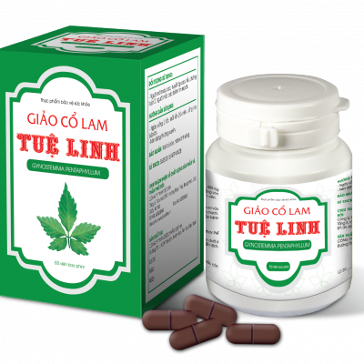Giảo cổ lam trà 300g Tuệ Linh 2