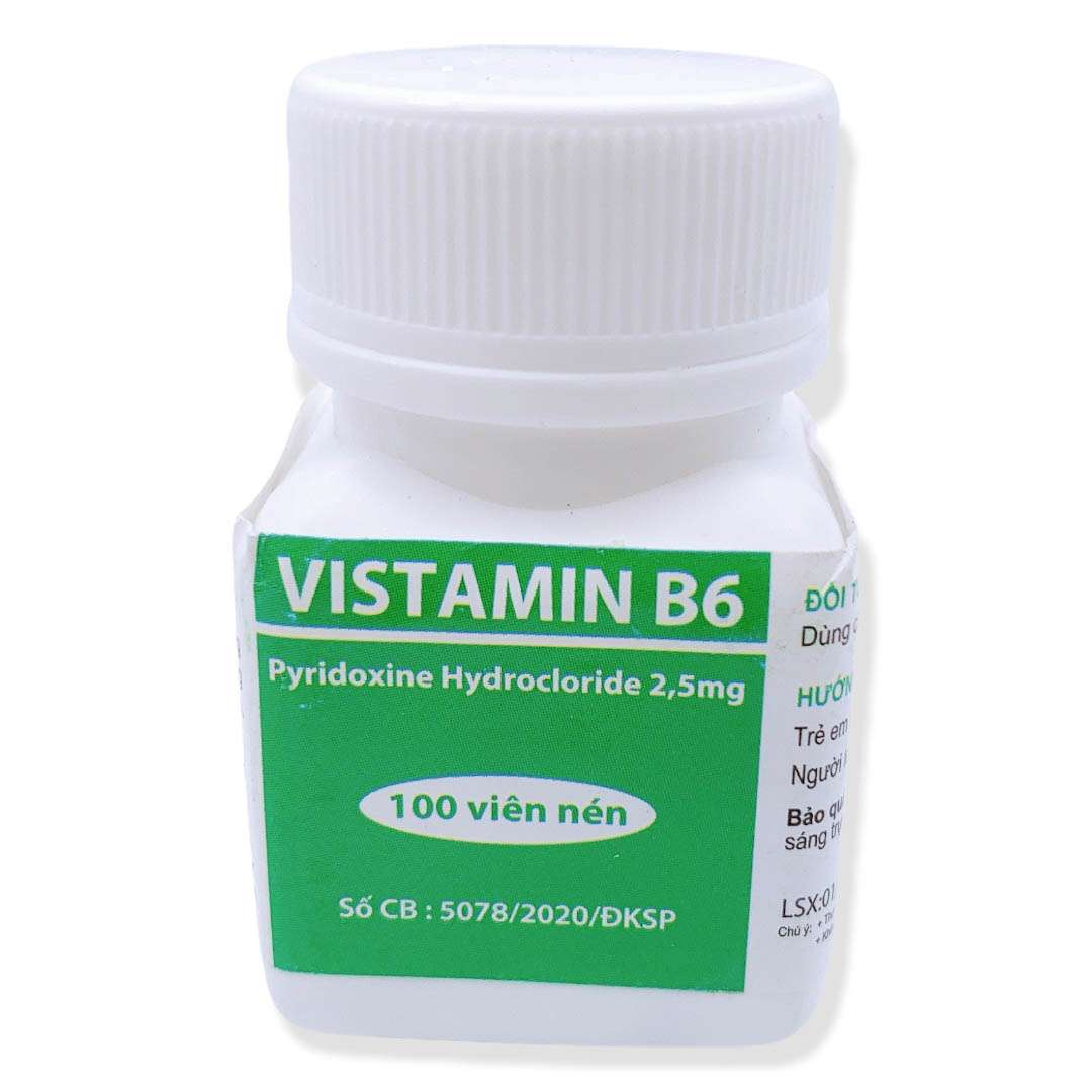 Vitamin B6 L/100v Đại Y