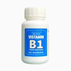 Vitamin B1 L/2000v Đại Y