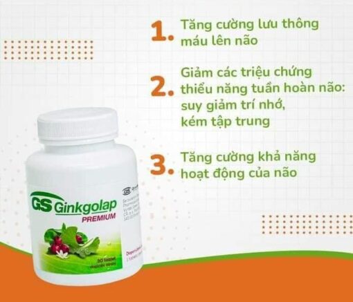 GS Ginkgolap Premium