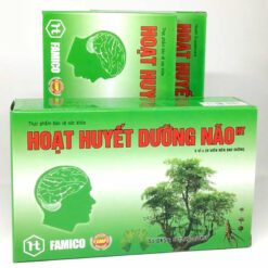 Hoạt huyết dưỡng não (H/5*20) Đại Y