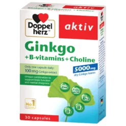 Aktiv Ginkgo