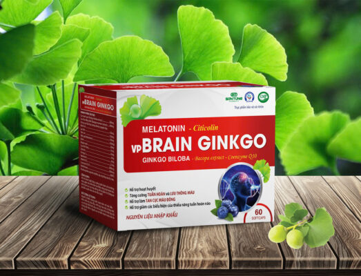 VPBRAIN GINKGO H/60v